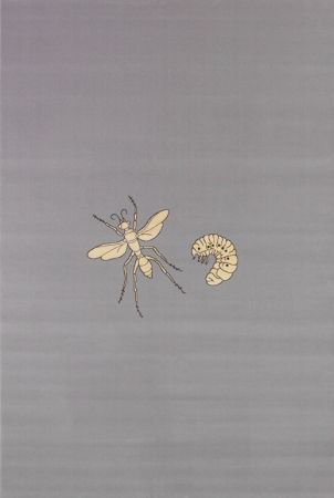 Многоэкземплярное Произведение Fabre - Fly