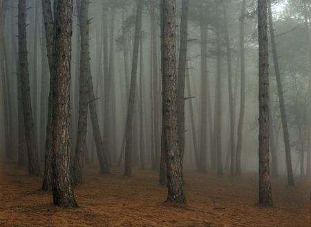 Фотографии Sitchinava - Fog in September