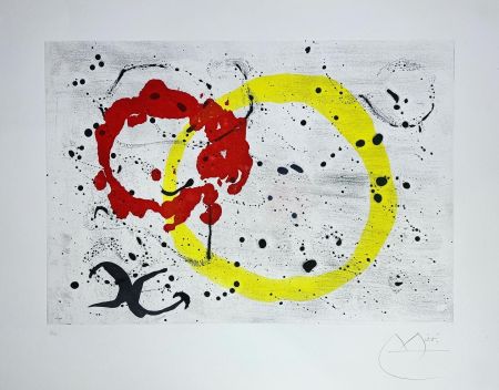 Офорт И Аквитанта Miró - FOND MARIN