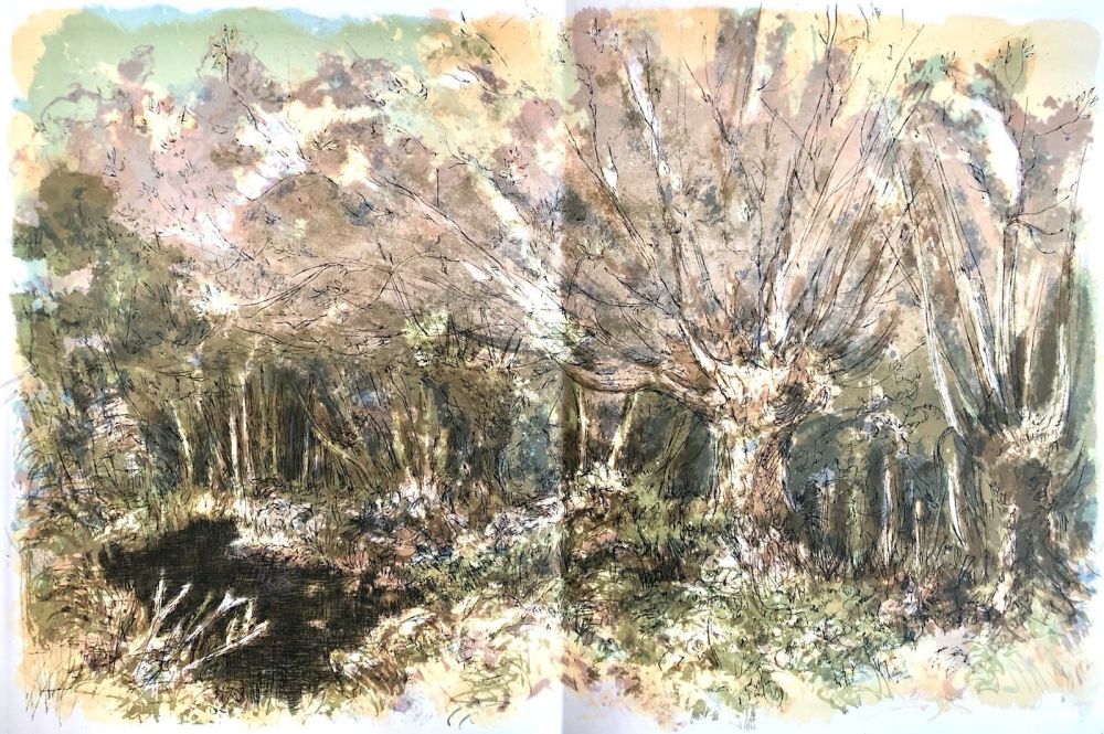 Литография Steinlen - Forêt voisine