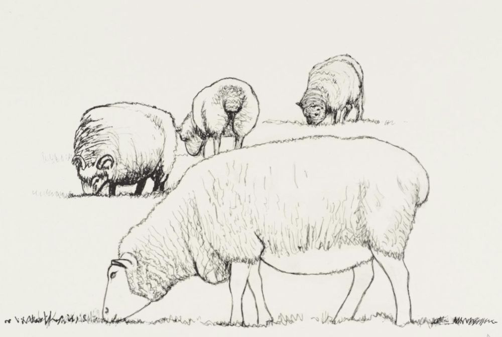 Литография Moore - Four Sheep Grazing