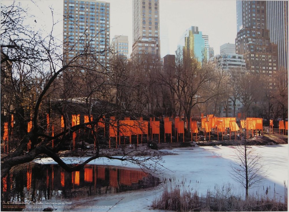Афиша Christo - Gates near Frozen Lake, Central Park New York