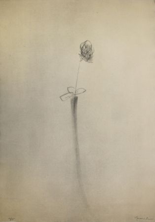 Гравюра Сухой Иглой Hernandez Pijuan - Gerro i flor (Vase and Flower)