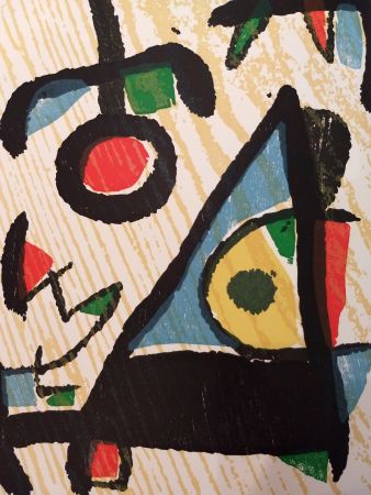 Иллюстрированная Книга Miró - Graveur 2