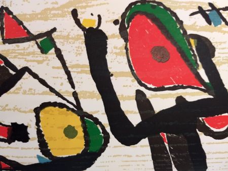 Иллюстрированная Книга Miró - Graveur 3