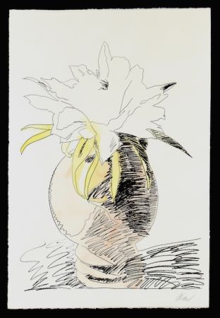Сериграфия Warhol - Hand Colored Flowers III.114