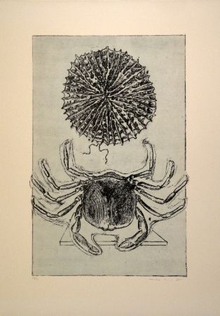 Иллюстрированная Книга Ernst - Histoire naturelle