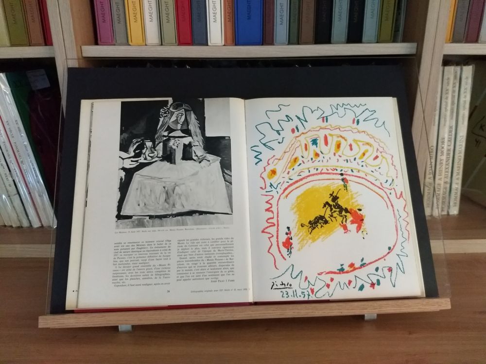 Иллюстрированная Книга Picasso - Hommage