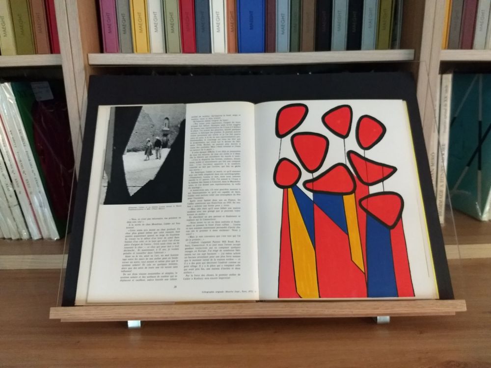 Иллюстрированная Книга Calder - Hommage