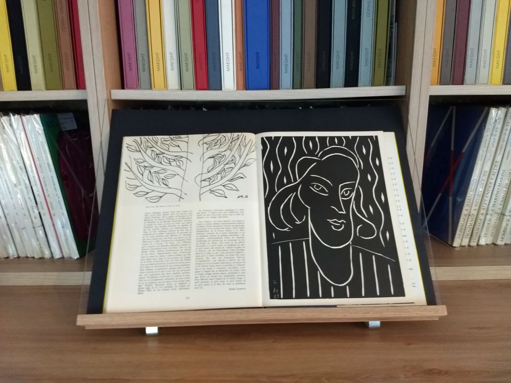 Иллюстрированная Книга Matisse - Hommage