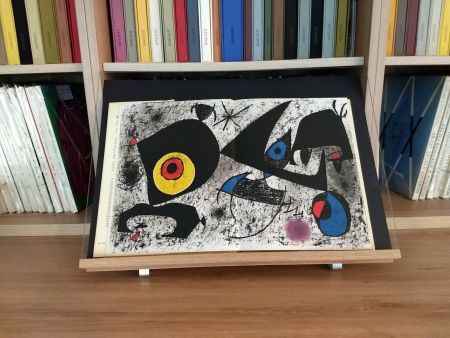 Иллюстрированная Книга Miró - Hommage