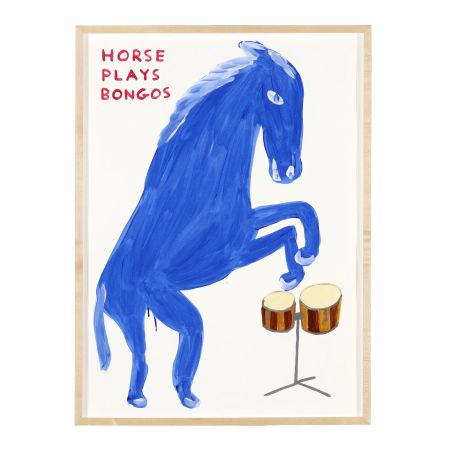 Нет Никаких Технических Shrigley -  Horse plays Bongos