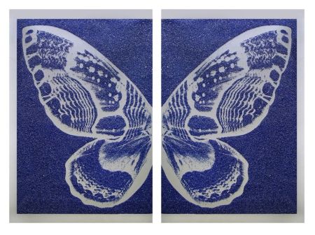Сериграфия Robierb - Hybrid Silver Butterfly l on Blue