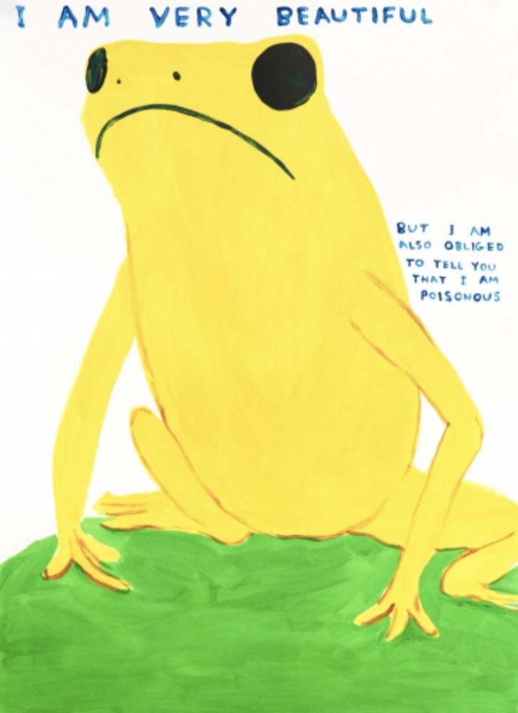 Сериграфия Shrigley - I Am Very Beautiful