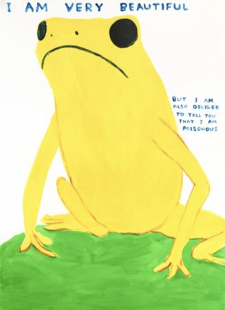Сериграфия Shrigley - I Am Very Beautiful