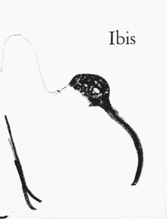 Литография Aillaud - Ibis