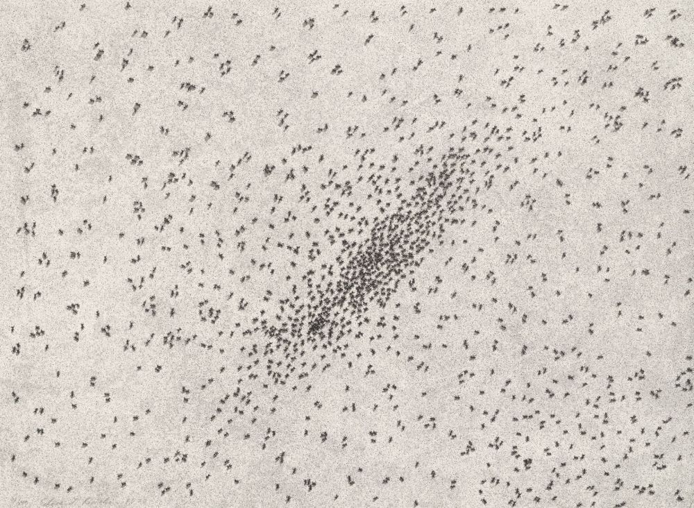 Литография Ruscha - Insect Slants (Ants)