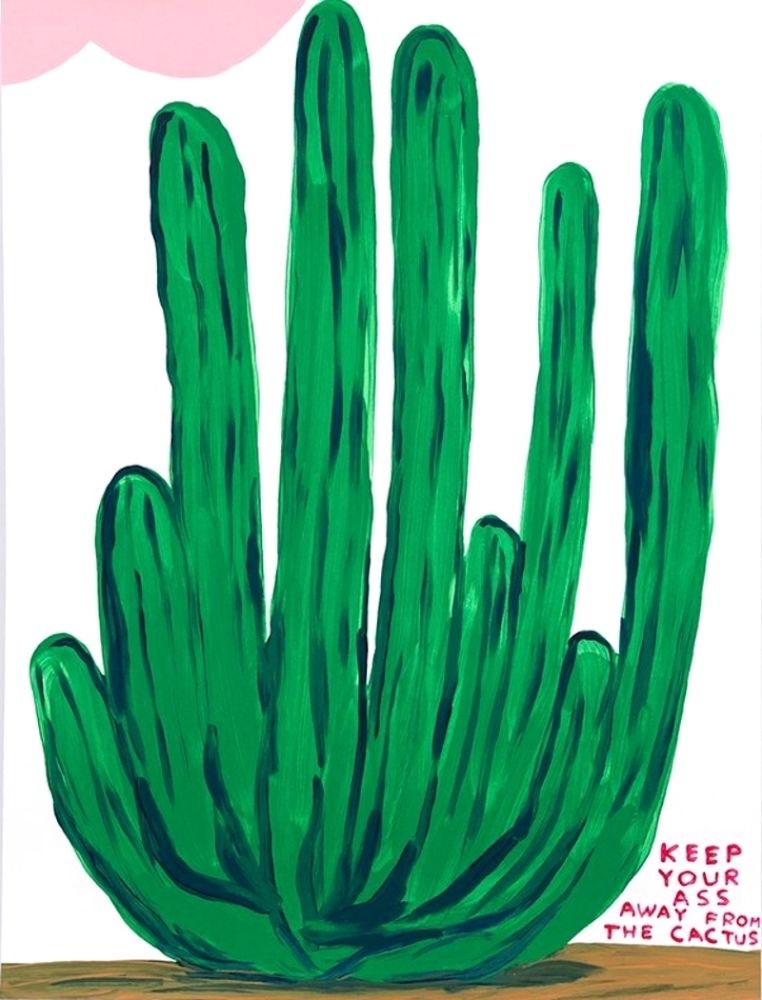 Сериграфия Shrigley - Keep Your Ass Away from The Cactus