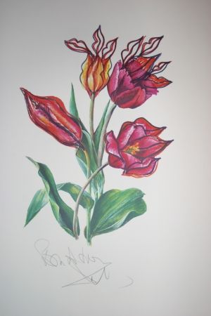 Литография Dali - Kissing Tulips (surrealistic flowers)