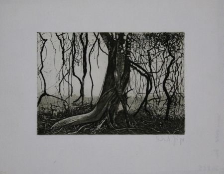 Офорт И Аквитанта Jäger - Knorriger Baum / Gnarled Tree
