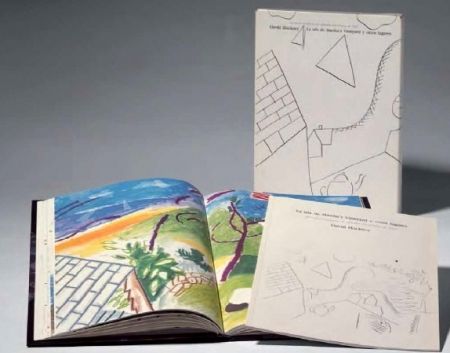 Иллюстрированная Книга Hockney -  La Isla de Martha Vineyard y otros lugares