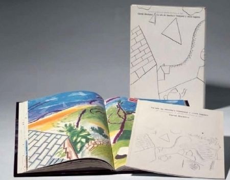 Иллюстрированная Книга Hockney - La Isla de Martha Vineyard y otros lugares