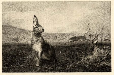 Гравюра Bracquemond - La lièvre (The Hare)