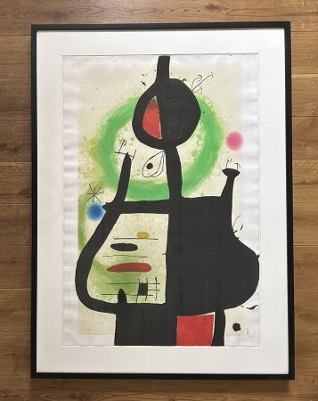 Нет Никаких Технических Miró - La Sorcier