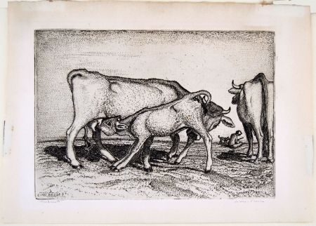 Гравюра Bozzetti - LA VACCA E IL BOCCINO (The cow and the calf), fourth version. 
