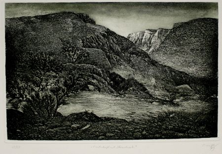 Офорт И Аквитанта Müller - Landschaft mit Strauchwerk / Landscape with Bushes