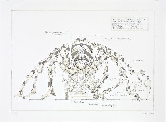 Литография Delarozière - L'araignée géante