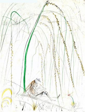 Гравюра Dali - Le Saule Pleurer (Weeping Willow)