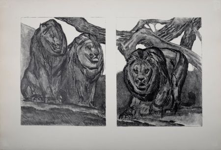 Литография Jouve - Les Lions, 1934.