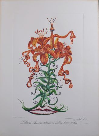 Многоэкземплярное Произведение Dali - Lilium Aurancacium et labra barocantia, 1972 - Hand-signed!