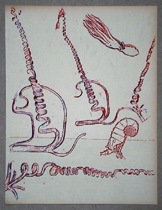 Литография Ernst - Lithographie originale pour XXe Siècle