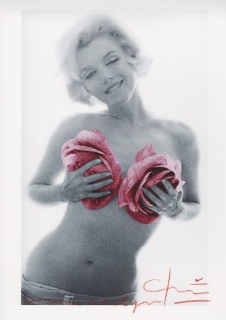 Многоэкземплярное Произведение Stern - Marilyn Monroe pink wink roses
