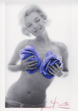 Многоэкземплярное Произведение Stern - Marilyn Monroe purple wink roses