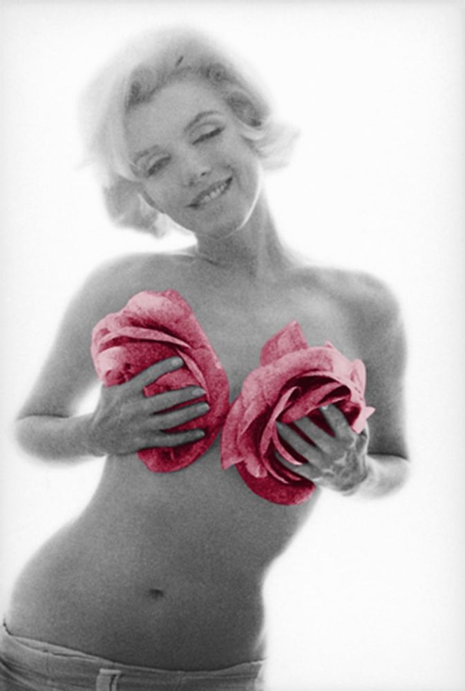 Фотографии Stern - Marilyn Pink Roses Large