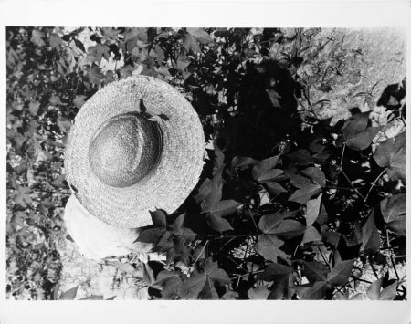 Фотографии Evans - Mississippi