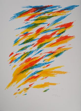 Литография Dorazio - Mouvement coloré