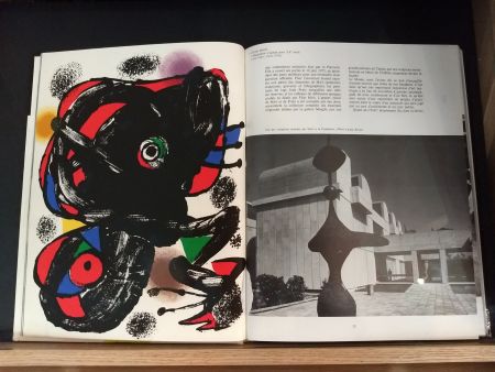 Иллюстрированная Книга Miró - No 46