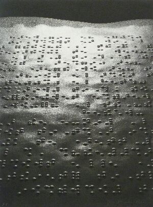 Фотографии Fontcuberta - Paisatge braille