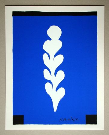 Сериграфия Matisse (After) - Palme blanche sur fond bleu
