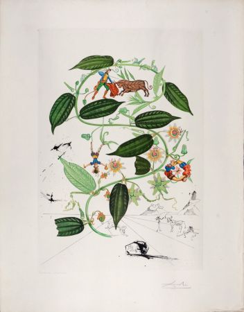 Гравюра Dali - Passiflora Lariguera, 1969 - Hand-signed!