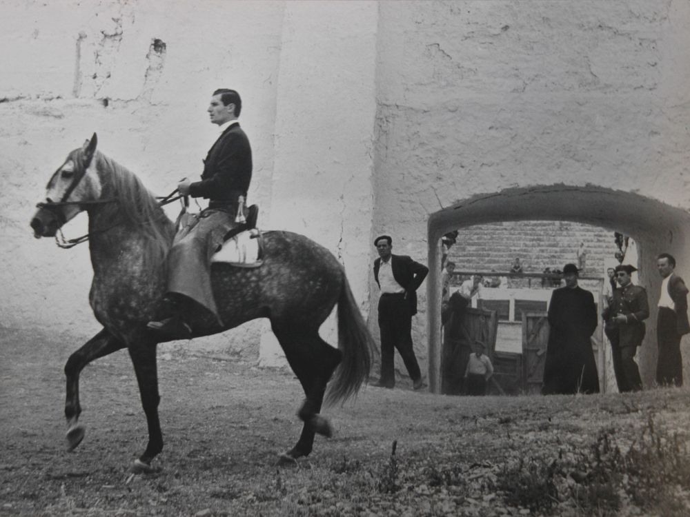 Фотографии Català-Roca - Pati de cavalls