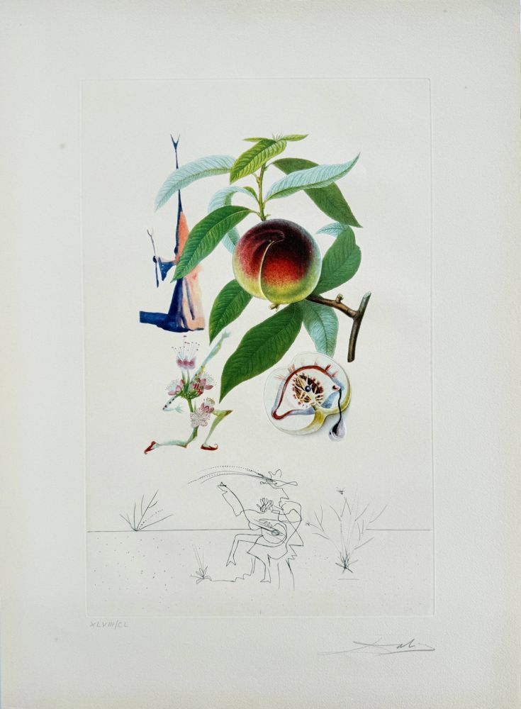 Литография Dali - Penitent Peach-tree from Flordali suite