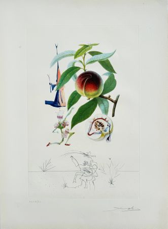 Литография Dali - Penitent Peach-tree from Flordali suite