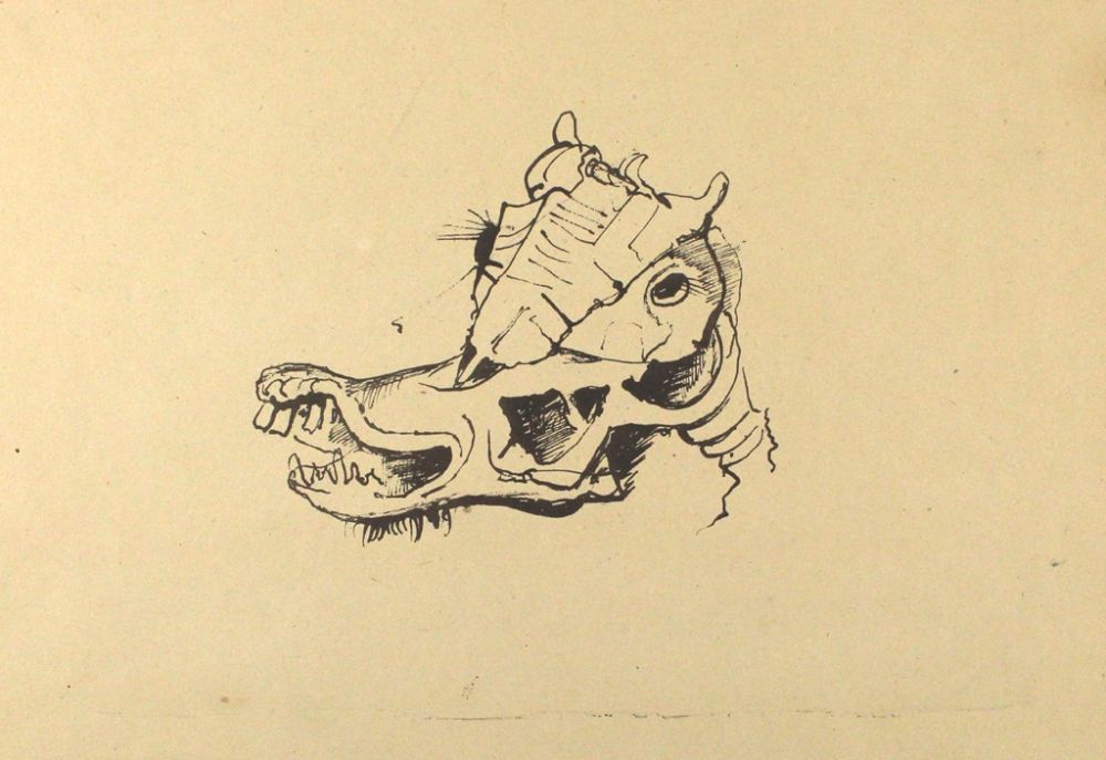 Литография Hofer - Pferdeschädel / Horse Skull