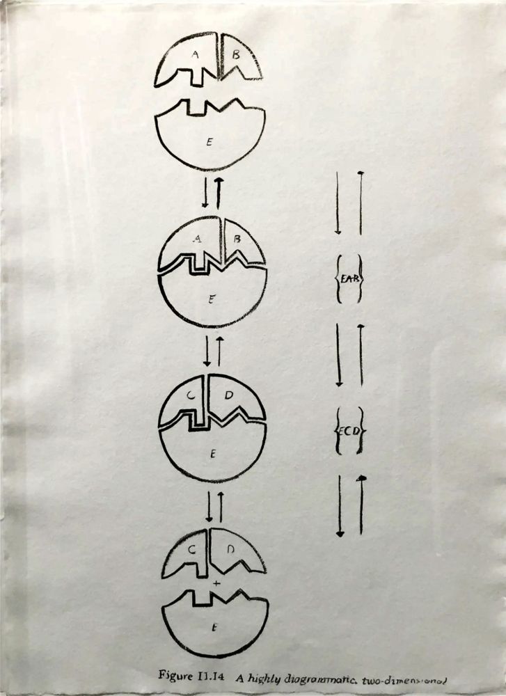 Многоэкземплярное Произведение Warhol - Physiological Diagram