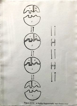 Многоэкземплярное Произведение Warhol - Physiological Diagram
